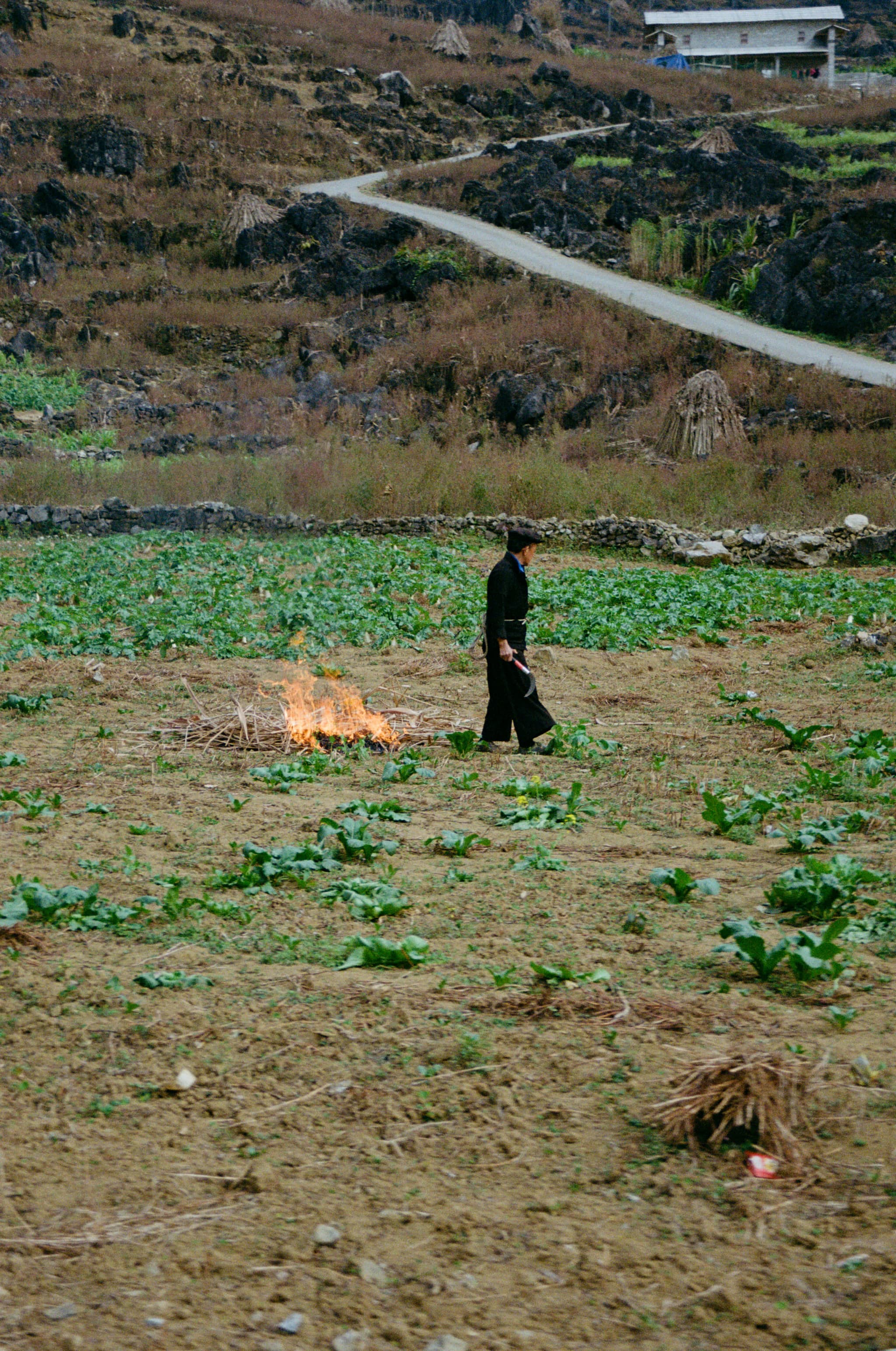 Ha Giang, Vietnam. Canon EOS 100. Kodak Gold.