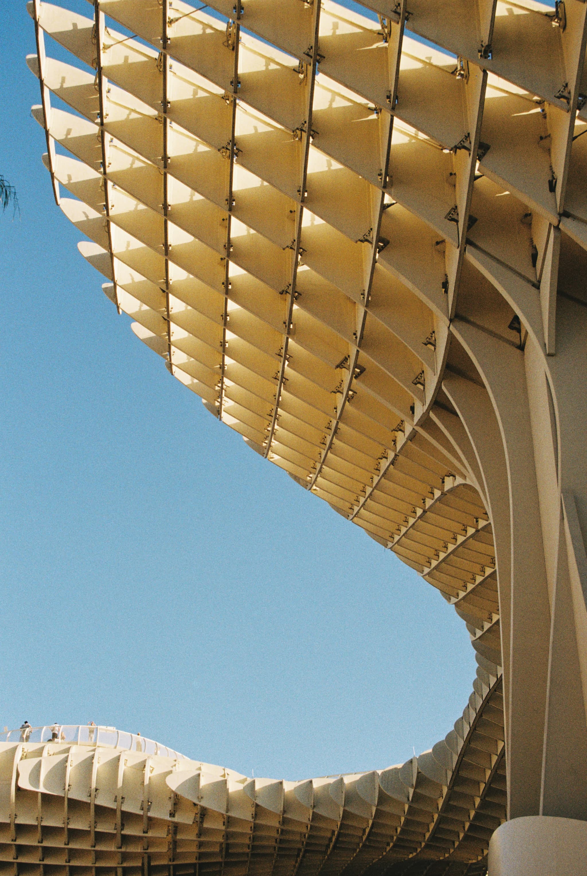 Seville, Spain. Canon EOS 100. Kodak Gold.